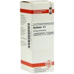 Basilicum D 1 Dilution (20 ml)
