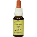 Bachblüten Murnauer Tropfen Cerato, 20 ML