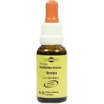 Bachblüten Murnauer Tropfen Vervain, 20 ML