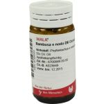 BAMBUSA E NODO D 6, 20 G