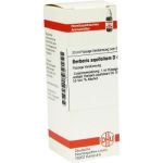 Berberis Aquifolium D 4 Dilution (20 ml)