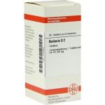 BERBERIS D 2, 80 ST