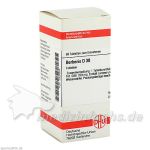 BERBERIS D30, 80 ST
