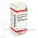 BELLIS PERENNIS D30, 10 G