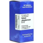 BIOCHEMIE 5 KAL PHOS D12, 80 ST