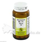 BIOCHEMIE 11 SILICEA D 6, 100 ST