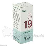 Biochemie Pflüger Nr. 19 Cuprum arsenicosum D 6, 100 ST