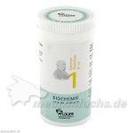 Biochemie Pflüger Nr. 1 Calcium fluoratum D 12, 100 G