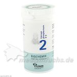 Biochemie Pflüger Nr. 2 Calcium phosphoricum D 6, 100 G