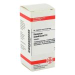 Bismutum Subnitricum D 3 Tabletten (80 stk)