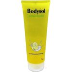 Bodysol Aroma-Duschgel Buttermilch-Zitrone, 250 ML