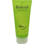 Bodysol Aroma-Duschgel Ginkgo-Limette, 100 ML