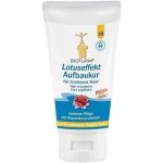 Bioturm Lotuseffekt Aufbaukur, 150 ML